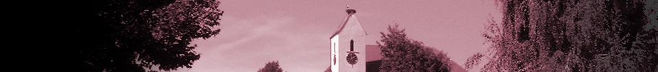 Webdesign Opfingen • Fischer WebSoft